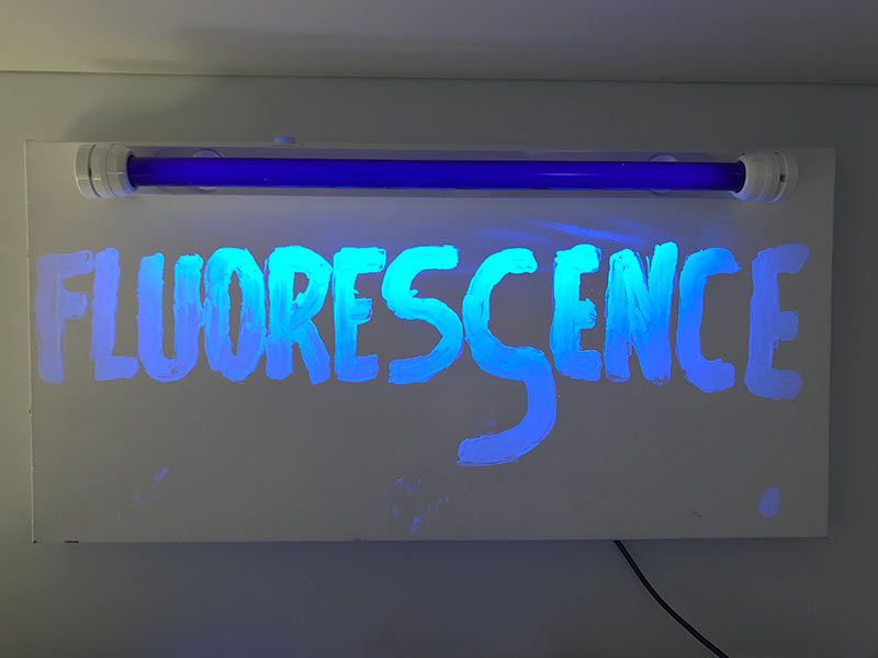 Fluorescence - 2011