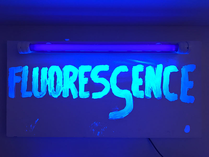 Fluorescence - 2011